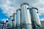 HONGSHI Raw Materials