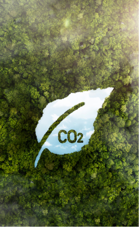 ESG