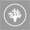Excellent environmental protection, low odor, low VOC