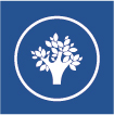 Excellent environmental protection, low odor, low VOC