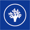 Excellent environmental protection, low odor, low VOC