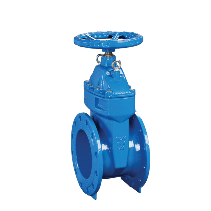 Rising Stem Resilient Seated Gate Valve