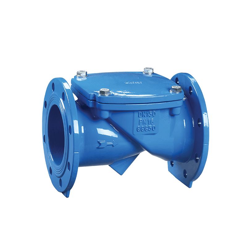Flex Swing Check Valve